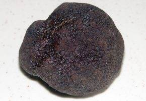 Musée-de-la-truffe