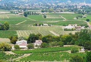 Route-des-vins-Bergerac